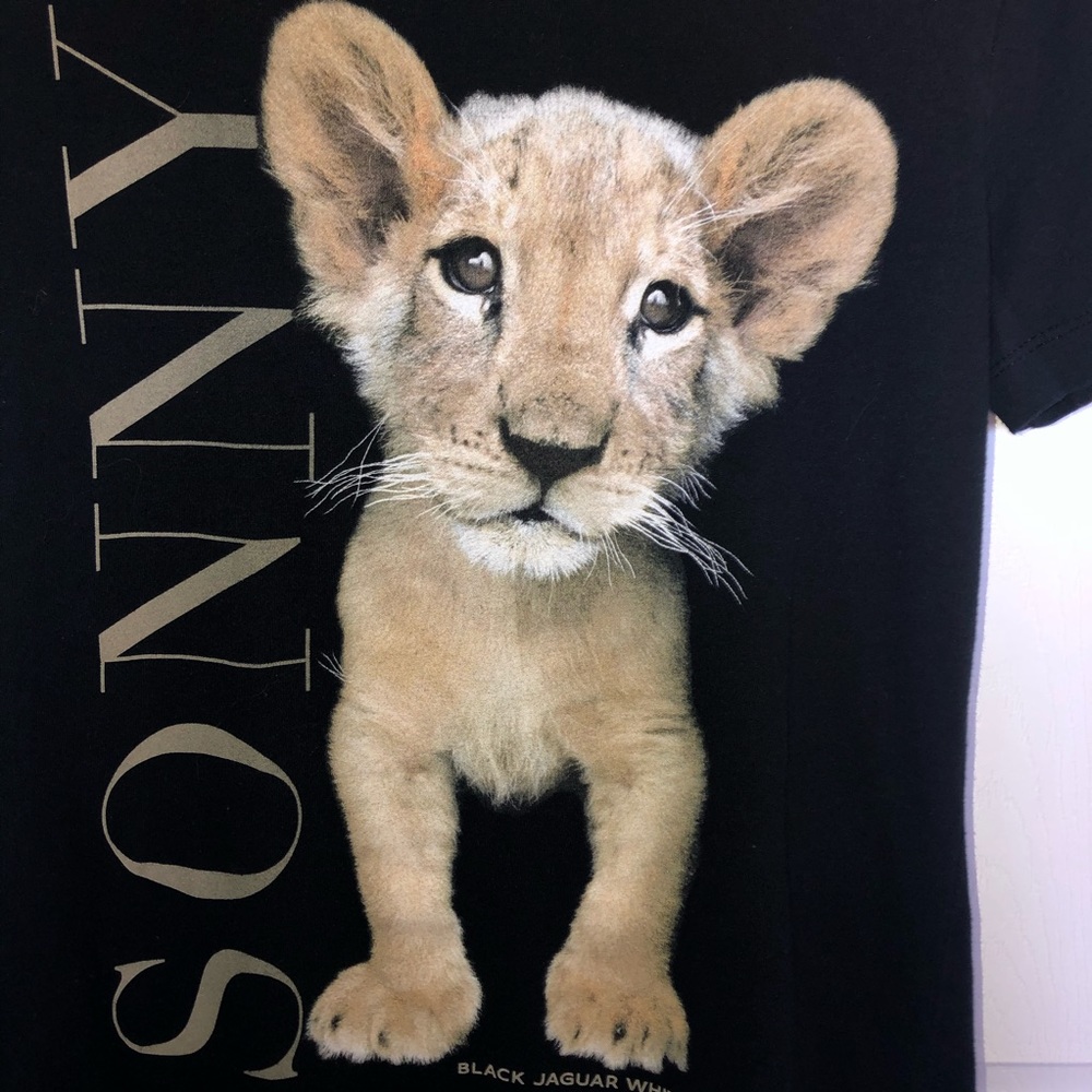Beautiful lion T - Picture 2 of 4